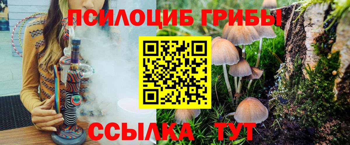Абакан  что такое   Вход с VPN  Псилоцибиновые грибы Psilocybe 