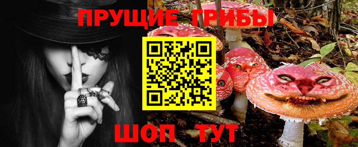 Псилоцибиновые грибы GOLDEN TEACHER Абакан